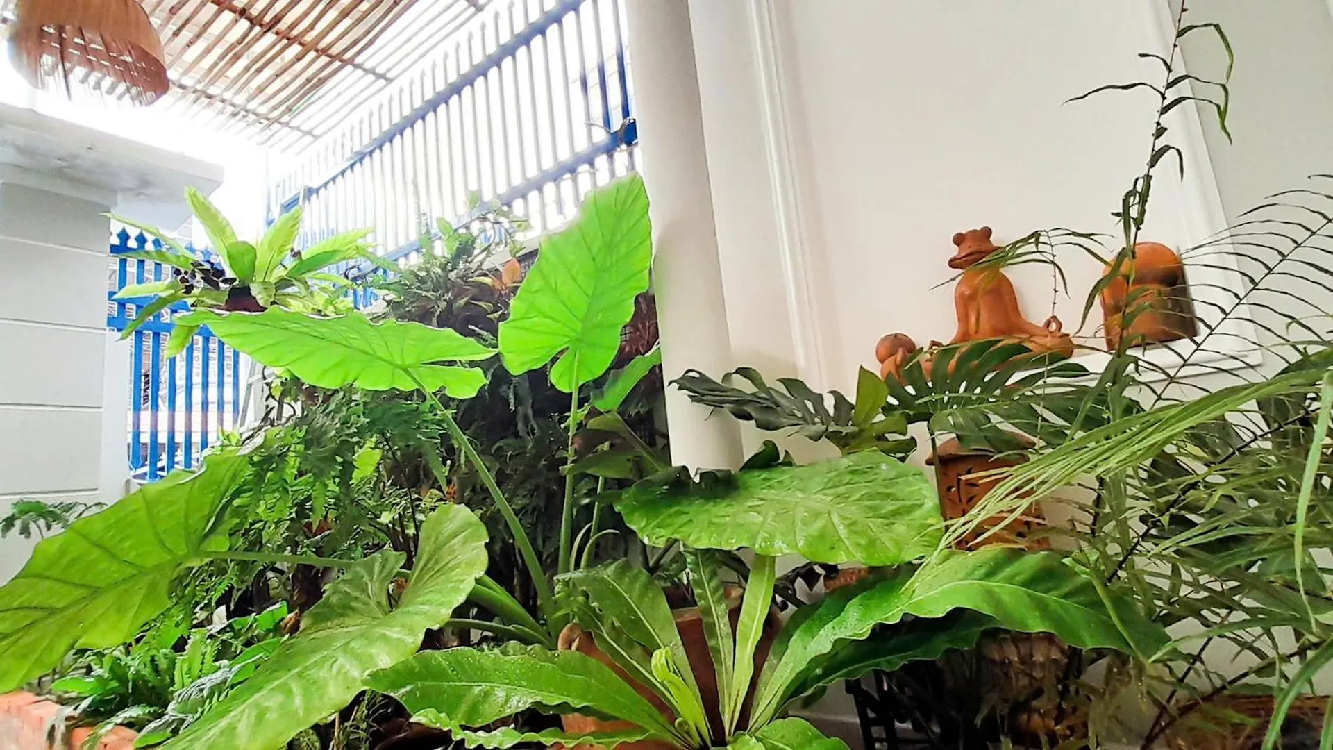 Διαμέρισμα La Nha Homestay Phan Thiet - Nguyen Can 4 Pn - Gan Bien